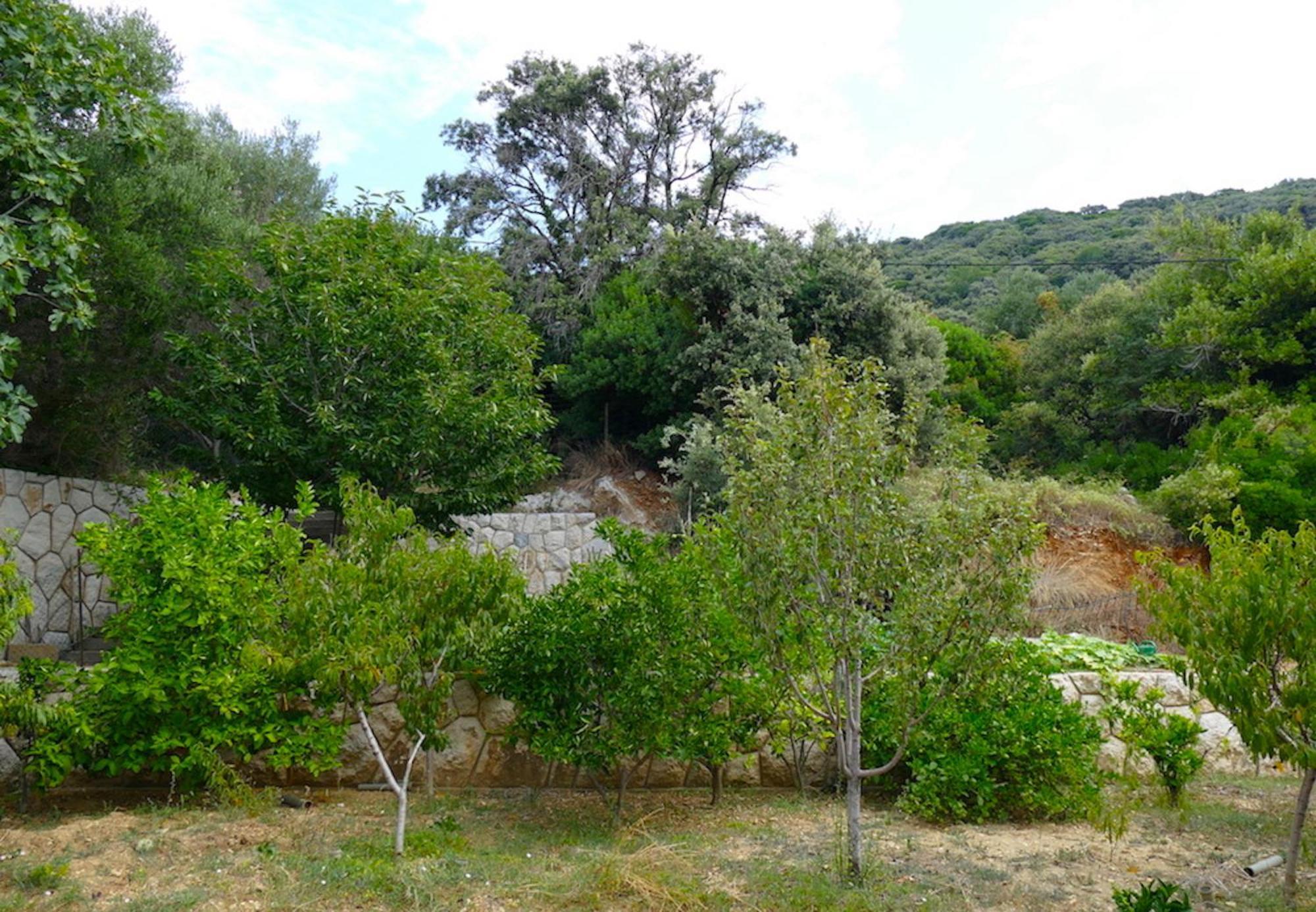 B&B Garni Stefi! Supetarska Draga Phòng bức ảnh